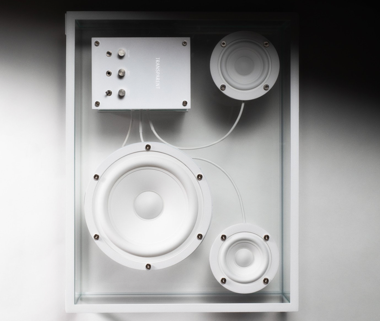 Transparent Speaker White + Wi‑Fi Module – Audio Multiroom Trasparente