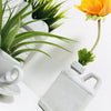 Vaso Mini Tanica