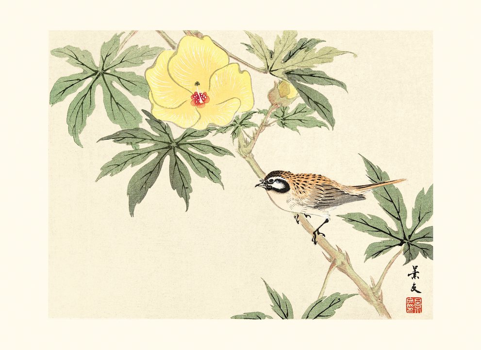 I fiori visti dai maestri della stampa giapponese – Libro illustrato | L'Ippocampo