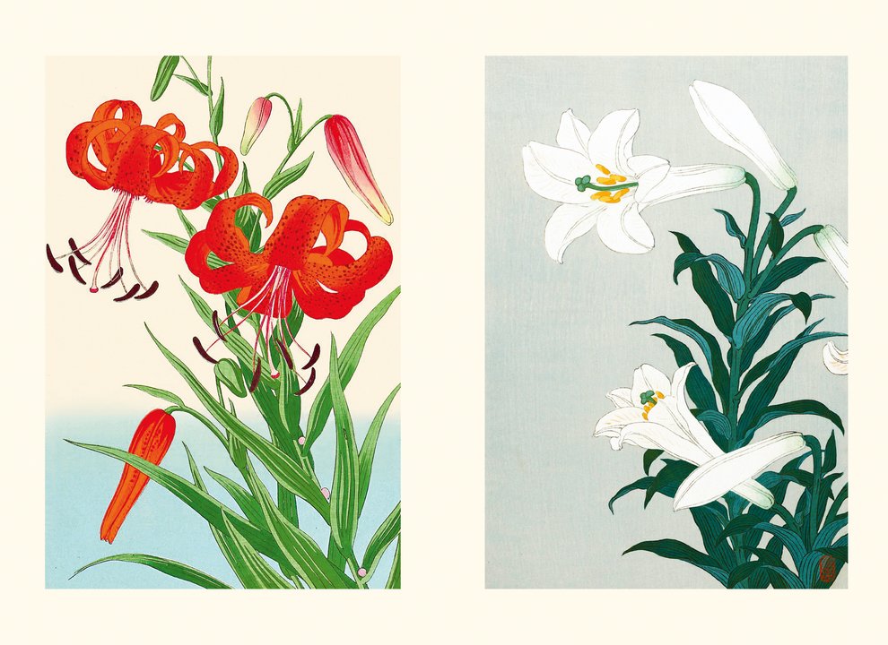 I fiori visti dai maestri della stampa giapponese – Libro illustrato | L'Ippocampo