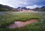 La cucina scandinava – Libro illustrato di ricette | L'Ippocampo