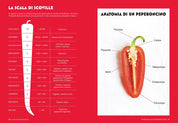 Peperoncino – Libro illustrato cartonato | L'Ippocampo