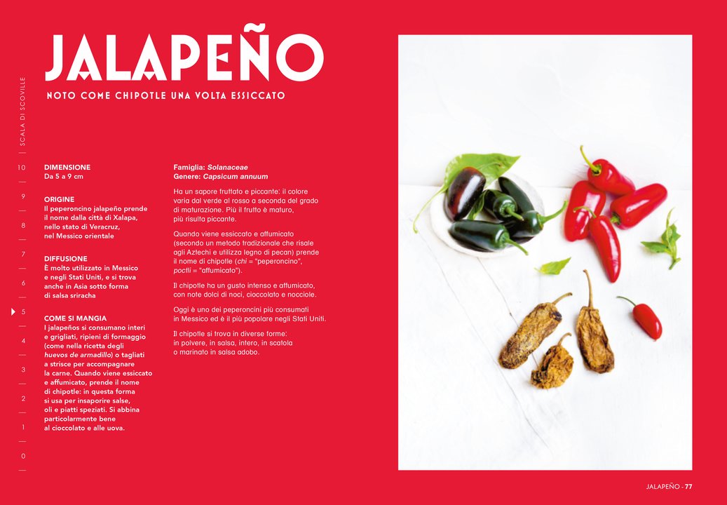 Peperoncino – Libro illustrato cartonato | L'Ippocampo