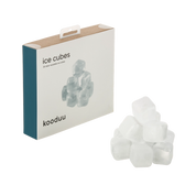 Ice Cubes Riutilizzabili – Cubetti Refrigeranti per Synergy | Kooduu