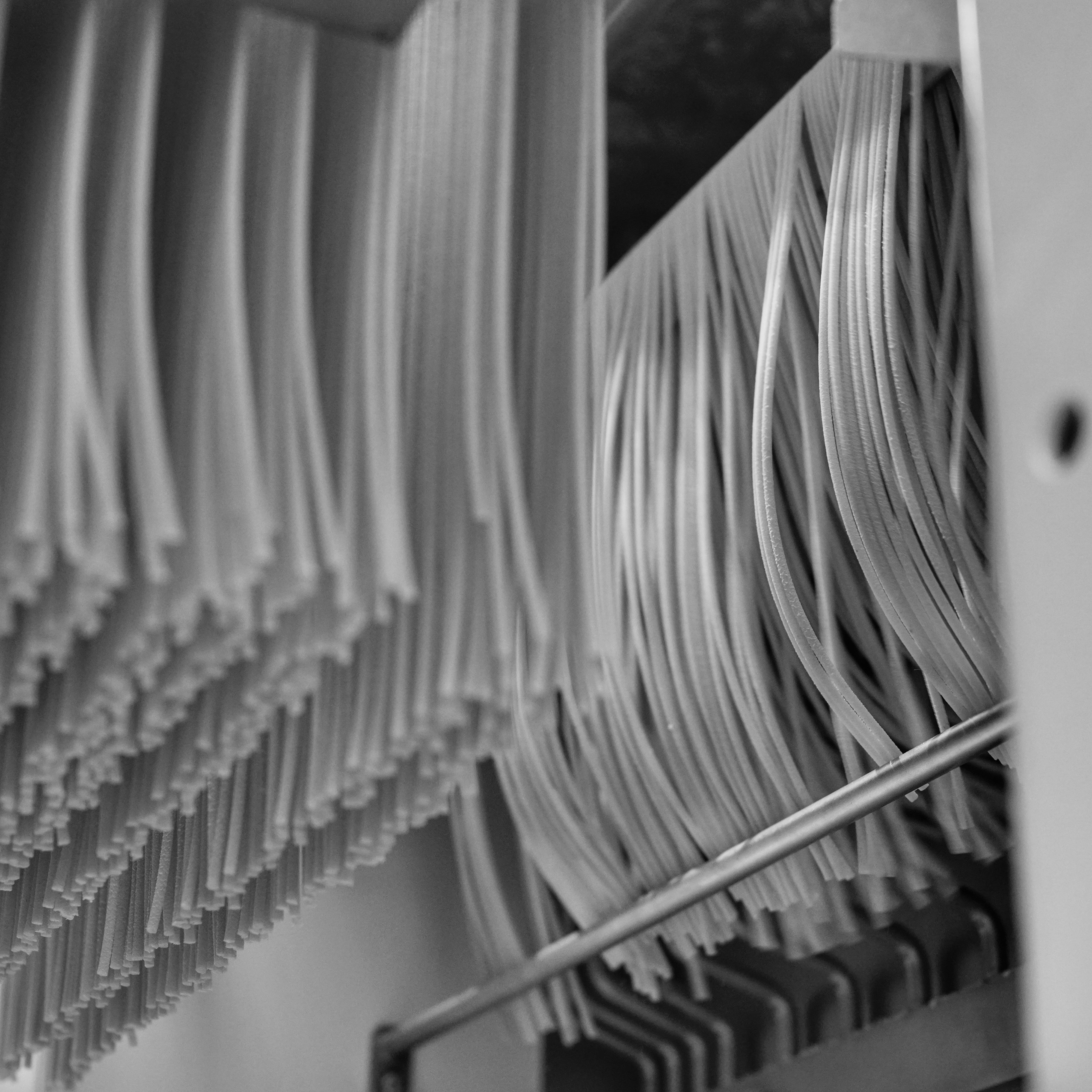Linguine