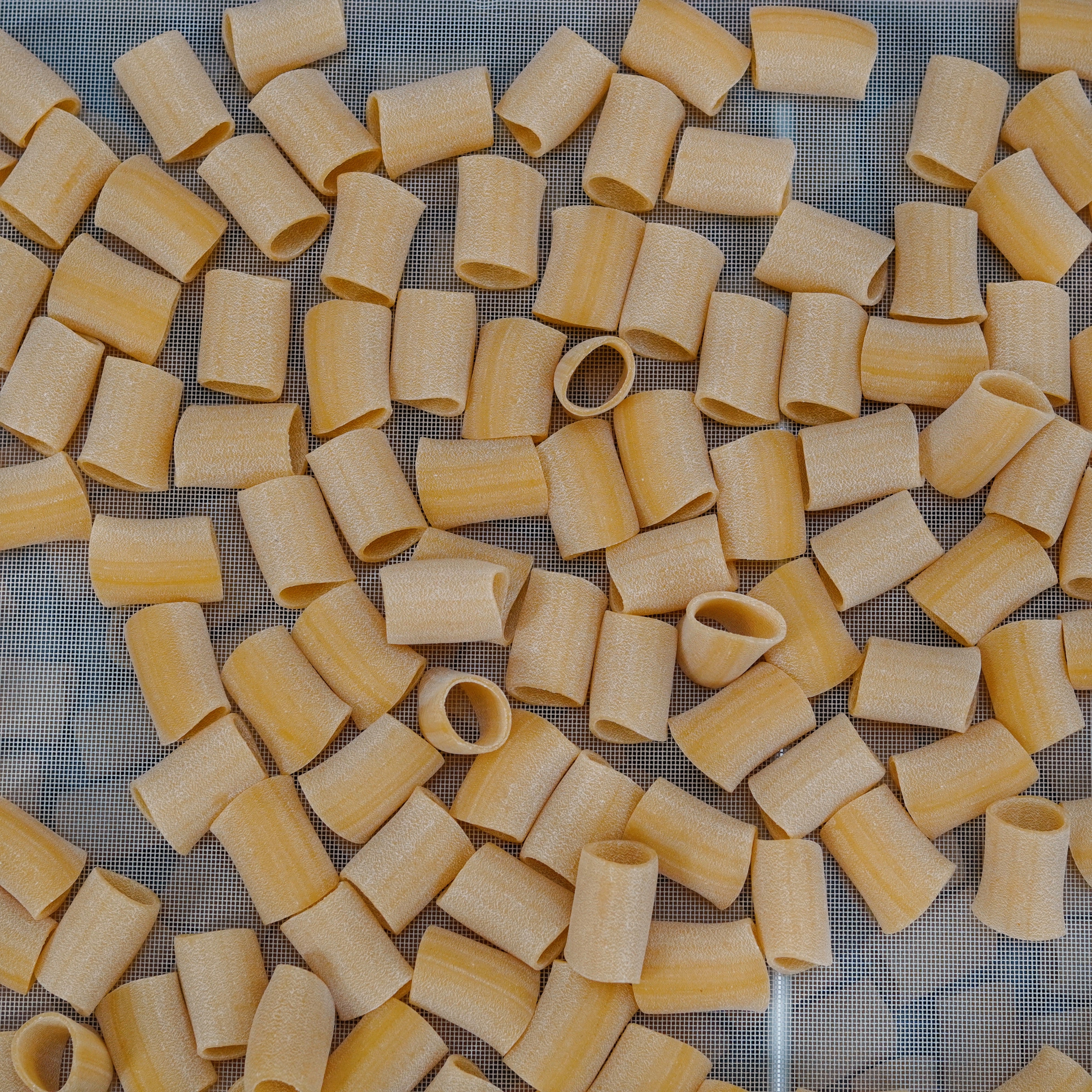 Paccheri lisci