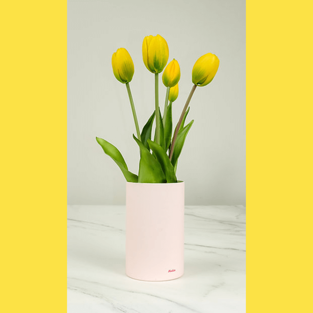 nodito-tulip-yellow.png