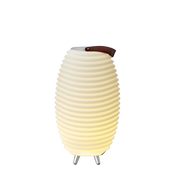 Synergy 50 – Lampada Bluetooth con speaker e glacette 3‑in‑1 | Kooduu