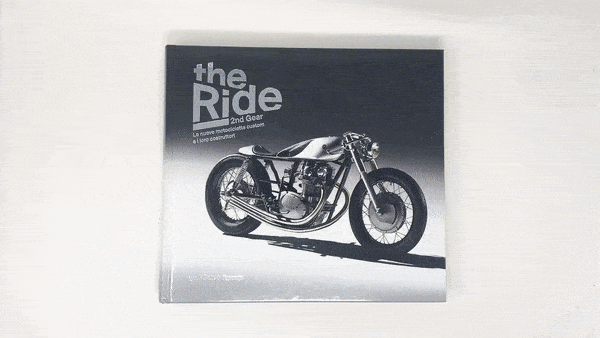 the-ride-2.gif